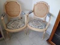 Paire de fauteuils avec accoudoirs.